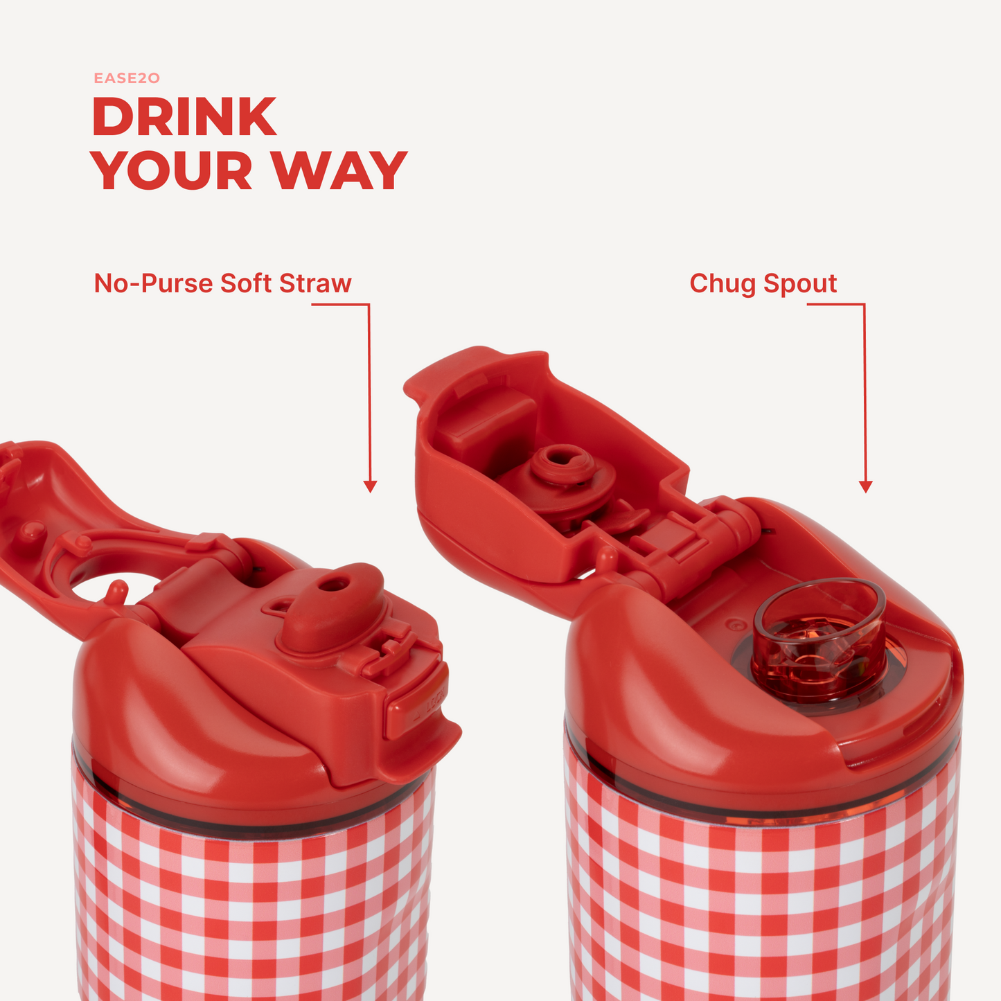 summer-picnic-v0 Ease14-SummerPicnic-3WPI.png