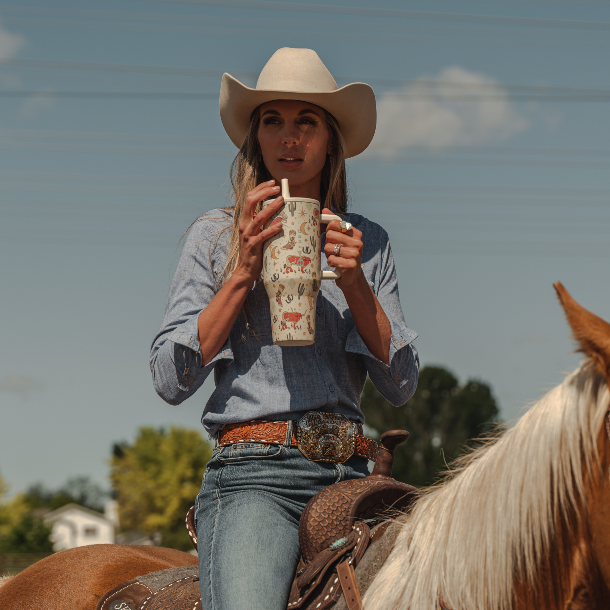 rodeo-y1 TRVL-Rodeo-6WPI.png